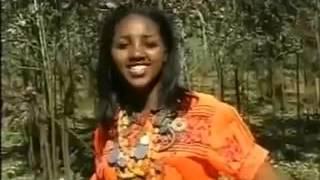 New Hot Amharic Music Ever Mehare Degefaw Yakoragnal Gonder Free download and streaming mehari degefaw gonder new ethiopian traditional music 2013 on your mobile phone or pc/desktop. mehare degefaw yakoragnal gonder